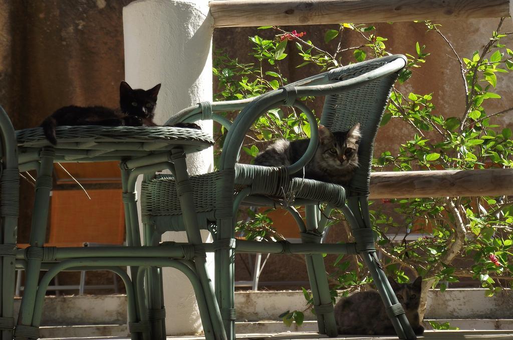 L'Oasi Villaggio Albergo Favignana Kültér fotó